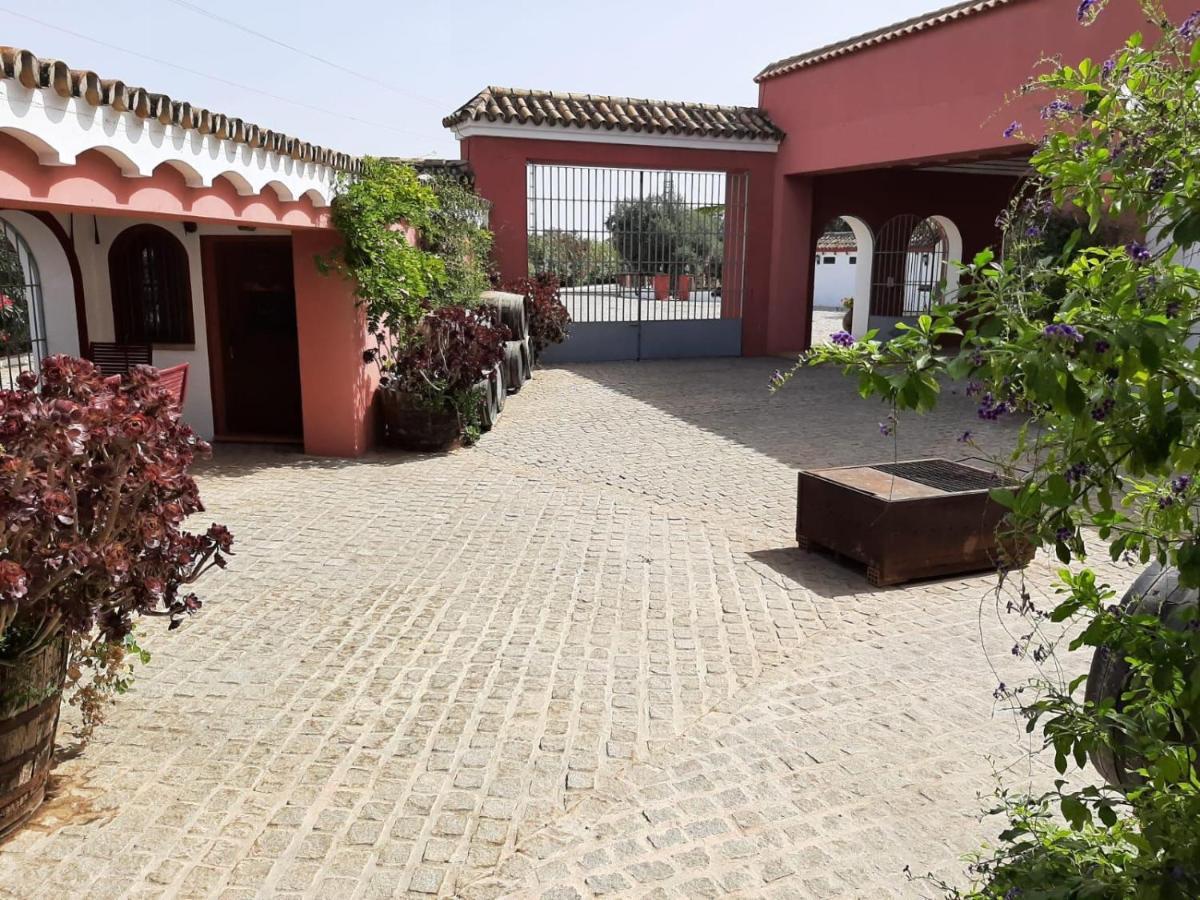 Finca Rural La Canera 16 Huespedes Sevilla Buitenkant foto