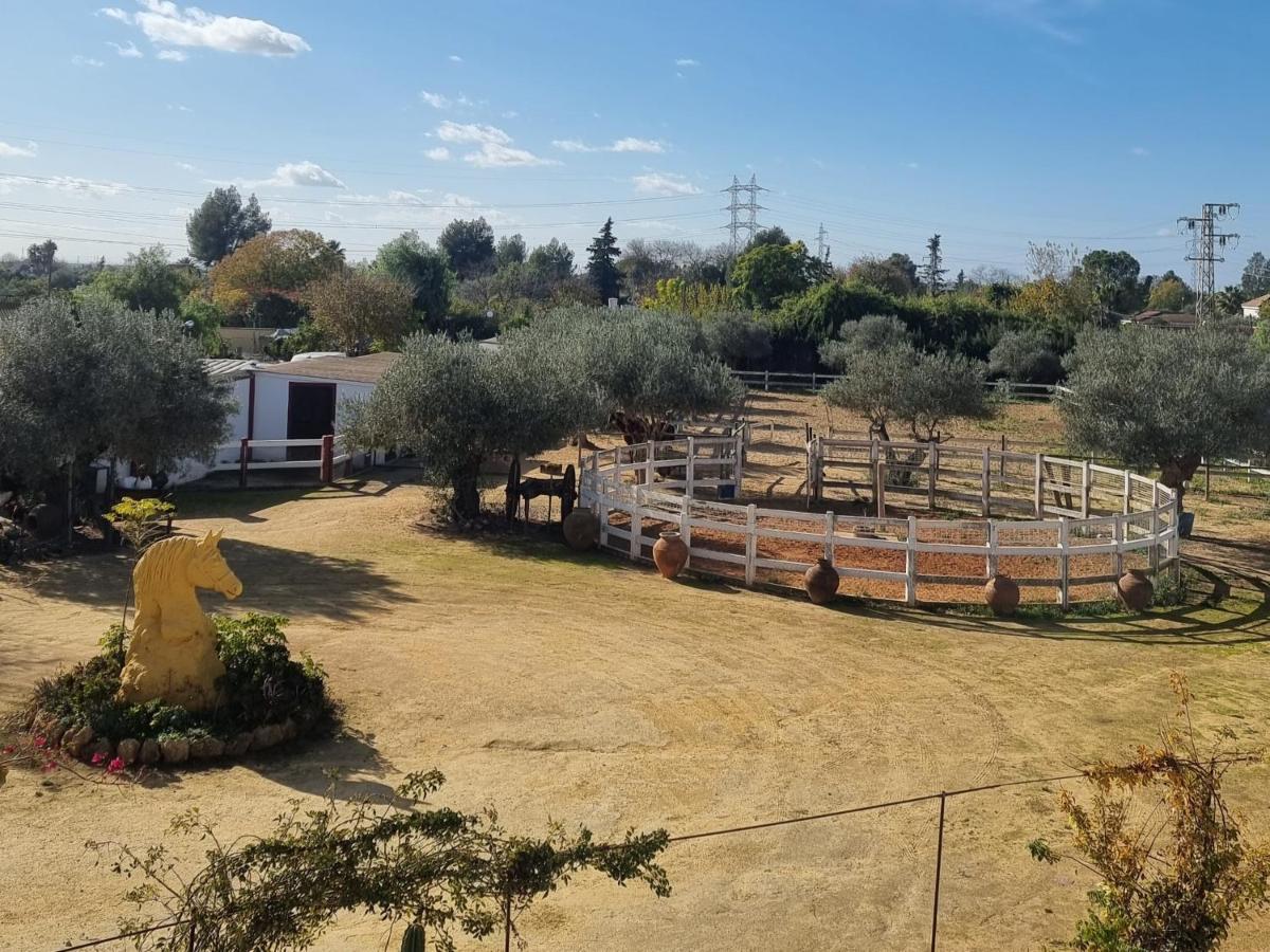Finca Rural La Canera 16 Huespedes Sevilla Buitenkant foto